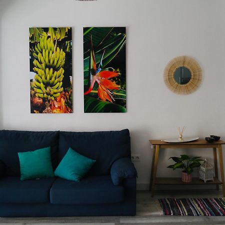 Macaronesia Home Santa Cruz de Tenerife Ngoại thất bức ảnh