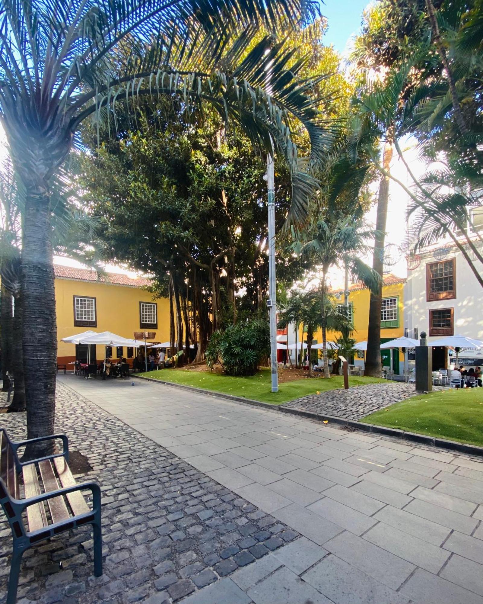 Macaronesia Home Santa Cruz de Tenerife Ngoại thất bức ảnh