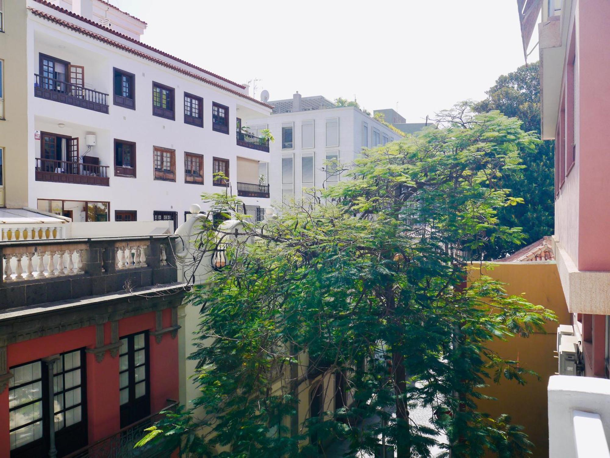 Macaronesia Home Santa Cruz de Tenerife Ngoại thất bức ảnh