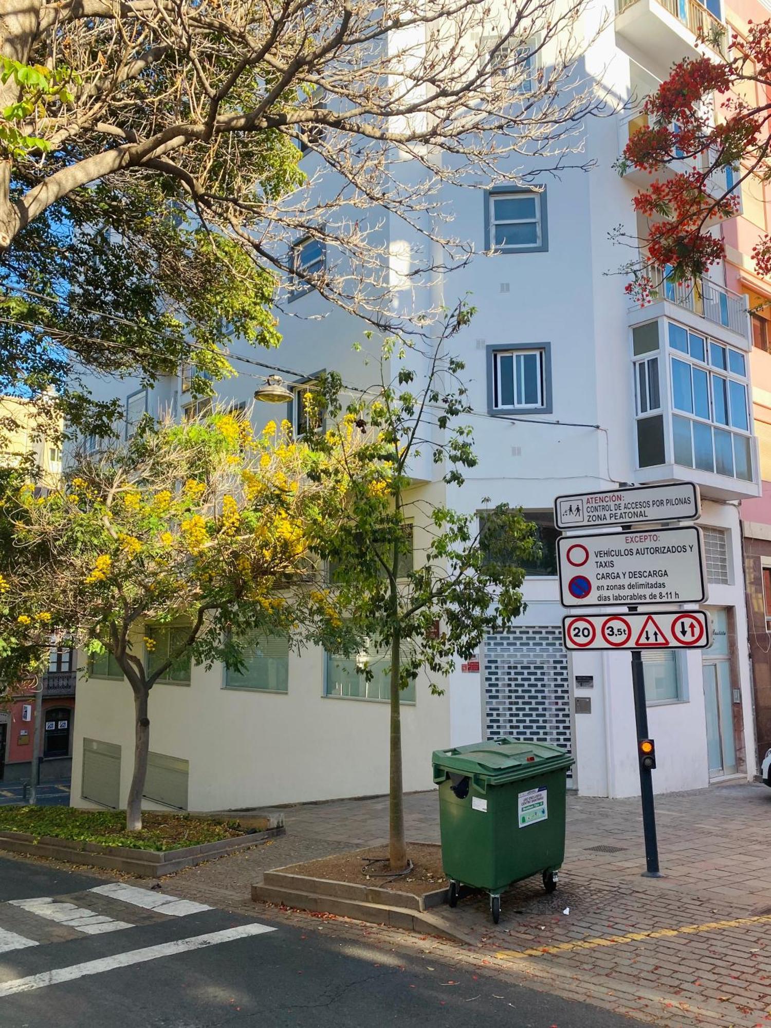 Macaronesia Home Santa Cruz de Tenerife Ngoại thất bức ảnh